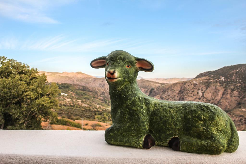 La Oveja Verde De La Alpujarra Pitres Exterior foto